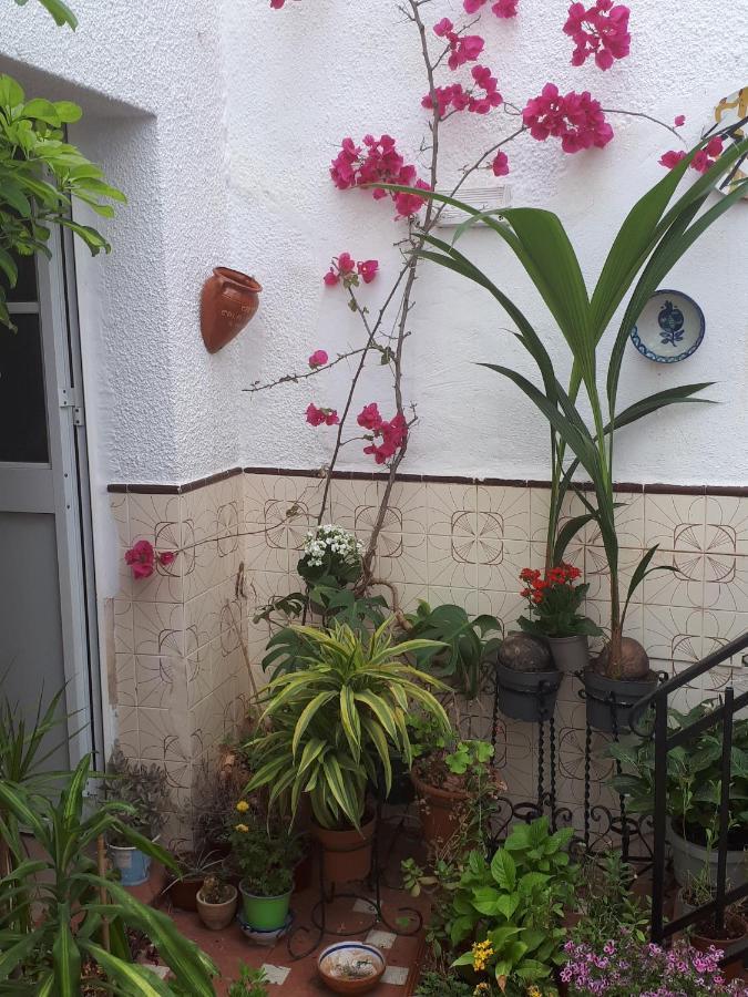 The Jasmine House Hotel Olvera Kültér fotó
